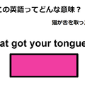 この英語ってどんな意味？「Cat got your tongue? 」 画像