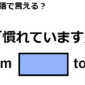 英語で「プレゼント用に包んで」はなんて言う？ 画像