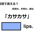 英語で「カサカサ」はなんて言う？ 画像