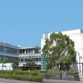 熊本県立八代高校、国際バカロレアDP候補校に認定 画像