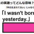 この英語ってどんな意味？「I wasn’t born yesterday.」 画像