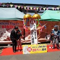 ホワイトタイガー赤ちゃん、観覧者20万人達成…東武動物公園 画像
