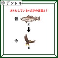 クイズです！イラストから言葉を考えてね。ジョークのセンスも問われるかも【難易度LV２.・甘口】 画像