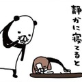ヨボヨボの愛犬、14歳の梅吉。静かに寝てると思わず取ってしまう行動は？【パンダと犬 ＃24】