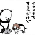 老犬・梅吉がヨボヨボしてイタズラをしに来る…スピードの遅さが逆にかわいい【パンダと犬 ＃32】