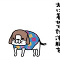 秋冬は犬に洋服を着せていたけど、最近は裸　久しぶりすぎて、ついとっちゃう行動は？【パンダと犬 ＃33】