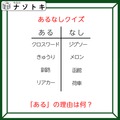 あるなしクイズです！「釧路にあって函館にない」ある方の共通点とは？【難易度LV3.・中辛】