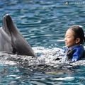 【夏休み2025】アドベンチャーワールドでイルカと泳ぐ体験…8/31まで 画像