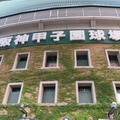 【高校野球2025夏】花巻東が勝利、智辯和歌山を制す 画像