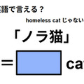 英語で「ノラ猫」は何て言う？