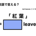 英語で「 紅 葉 」は何て言う？