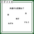 クイズです！「共通する言葉は考えましょう」ねずみがわかりやすそうです【難易度LV２.・甘口】 画像