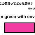 この英語ってどんな意味？「I’m green with envy.」