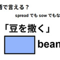 英語で「豆を撒く」はなんて言う？ 画像