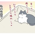 「たまらない」私の布団で昼寝してた愛猫。後に残ったほのかな温もりが至福のひととき【おさんぽですし！　おしゃべり犬とイライラ猫の日記 #32】