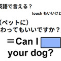 英語で「ペットに触ってもいいですか？」は何て言う？ 画像