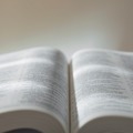 英単語や文法は知っているハズなのに…長文になると読めない！書けない‼生成AIで「英語力」が伸びるってホント？【使い方実例つき】