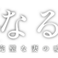 「親愛なる夫へ～完璧な妻の嘘～」