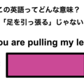 この英語ってどんな意味？「You are pulling my leg.」 画像