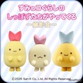 すみっこぐらしのしっぽずたちがやってくる～撮影会～