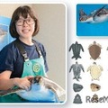 講演会 イラストで学ぼう！海の生きもののカタチ