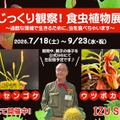 「じっくり観察！食虫植物展」