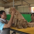 相葉雅紀、森保一監督（C）日本テレビ