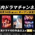 「国内ドラマチャンネル」（C）AbemaTV, Inc.