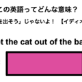 この英語ってどんな意味？「Let the cat out of the bag.」 画像