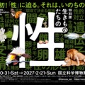 メインビジュアル／提供画像