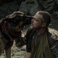 ブラッド・ピット「本当に素晴らしい」人間と犬の絆に注目『ハート・オブ・ビースト』特別映像 画像