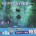 大洗水族館「東京都民の日」にあわせて割引キャンペーン 画像