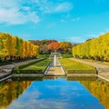 昭和記念公園で「黄葉・紅葉まつり＆秋の夜散歩2026」開催 光と音楽の演出も息をのむ美しさ 画像