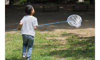〔怒涛の中学受験〕偏差値より「セミの幼虫探し」ができる小学校生活を守った母の決断 画像