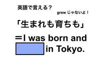英語で「生まれも育ちも」は何て言う？ 画像