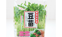 その豆苗、本当に新鮮？ プロが教える「おいしい豆苗」の見分け方と長持ちさせる保存術 画像