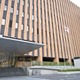 山梨・道志村山道脇で人骨 画像