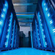 スーパーコンピュータがプレミアリーグ順位を予測！優勝はまたシティか 画像