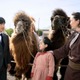 堺雅人主演「VIVANT」内容シークレットを徹底する理由 日本ドラマに懸ける熱い思い＜飯田Pインタビュー／第1話見どころ＞ 画像