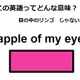 この英語ってどんな意味？「apple of my eye」 画像