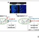 早産児の神経発達予後改善に新知見、名古屋市立大ら研究 画像