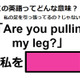 この英語ってどんな意味？「Are you pulling my leg? 」 画像