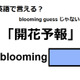 英語で「開花予報」はなんて言う？ 画像