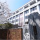 東京女学館、Nisaiオンラインスクールと提携…国際教育強化 画像