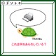 クイズです！このウミガメが「言っていること」はナニ？【難易度LV３.・中辛】 画像