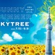 東京スカイツリー“天空のひまわり畑”テーマのイベント初開催＜SUNNY SUMMER SKYTREE（R）＞ 画像