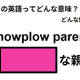 この英語ってどんな意味？「snowplow parent」 画像