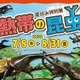 【夏休み2025】世界最大級のカブトムシに会える…板橋の植物館で特別展 画像