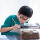 【夏休み2025】自由研究、親はどこまでサポート？84%の家庭が実践する子供主体の進め方 画像