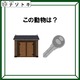 クイズです！「このイラストが示す動物は？」イラストを読んでみましょう【難易度LV２.・甘口】 画像